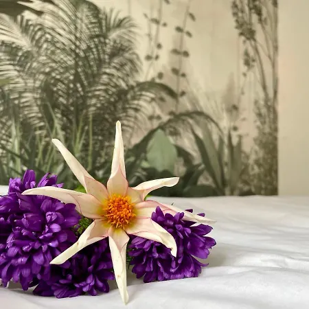 U Podnoza Gor Sowich Apartman Bielawa